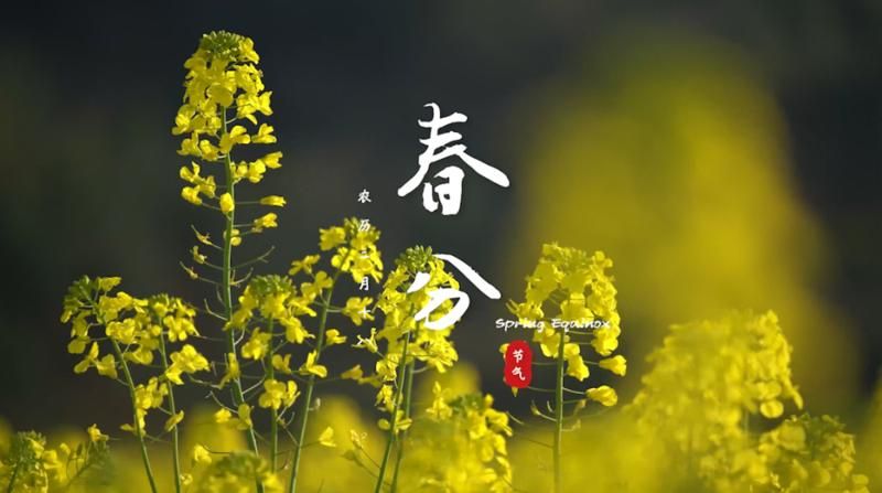 春水初生，春林初盛